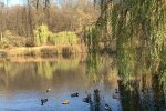 Погода осенью, facebook.com/tala.didenko