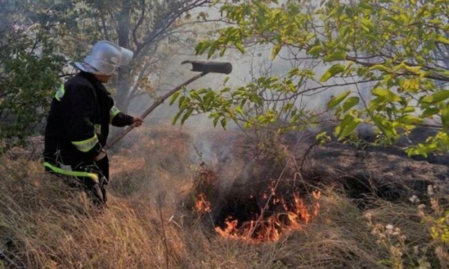 Масштабні лісові пожежі скували Херсонщину: відео