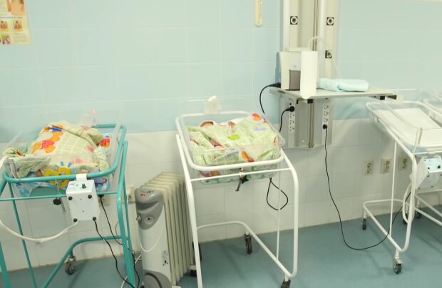 Новорожденные, кадр из видео