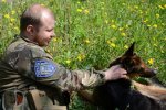 Вояки врятували вівчарку Алісу, над якою знущалися терористи (фото)