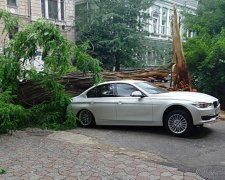 У Одесі через буревій падають дерева і плавають машини (фото, відео)