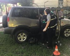 Геращенко рассказал о судьбе напавшего на добровольца АТО