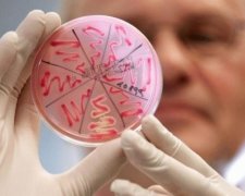 Через небезпечний вірус на Харківщині закривають школи
