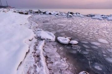 Фото: "Медузы" в Азовском море