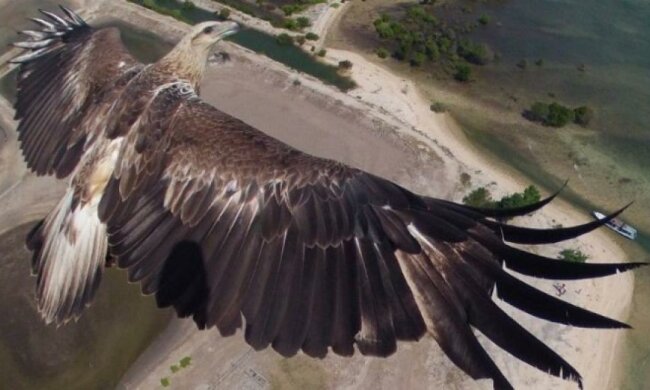 Безпілотники здатні зробити неймовірної краси знімки (фото)