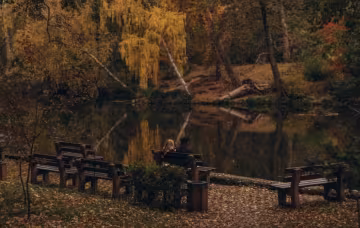 Осінь, погода, українці, фото з соцмереж