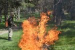 Може вигоріти дотла: над Києвом нависла загроза пожеж, рятувальники благають не жартувати