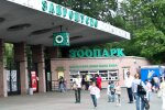 Єдиний у світі: в Київському зоопарку з'явився 15-метровий жираф