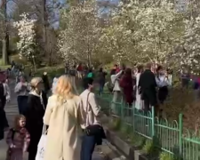 Украинцы, кадр из видео