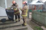 На Прикарпатті змія влізла в житловий будинок, фото: Facebook ДСНС Івано-Франківської області