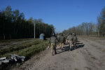 Военные, фото: Минобороны