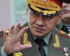 Шойгу порівняв лева на британському гербі з кішкою