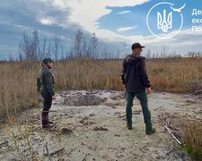 Госэкоинспекция