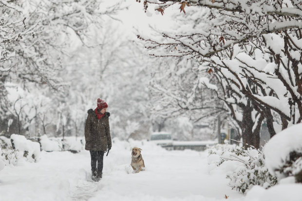 Погода на 9 грудня: українцям порадили дістати плащ і чоботи