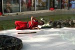 Врятувало диво: дресирувальник-невдаха ледь не розлучився з життям