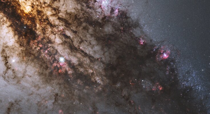 Гороскоп, фото: pixabay