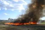 Полицейские сожгли марихуану в Турции / фото: Türkiye Today