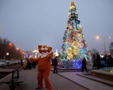 Новорічне диво у Запоріжжі: сотні авто та рекорд України