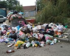 Гірше за звірів: у київському смітнику знайшли страшне, кров холоне в жилах