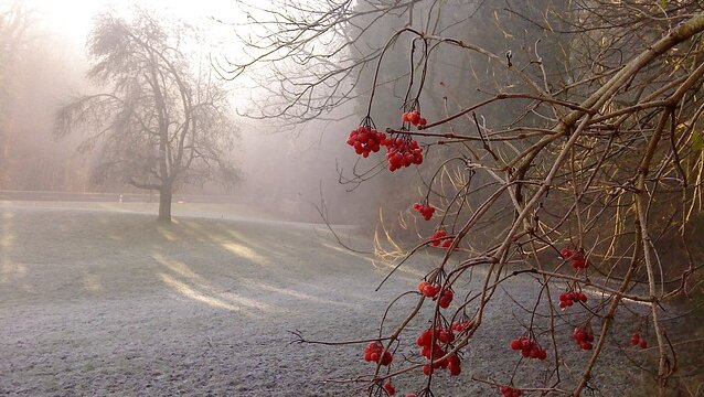 Винница утонет в туманах и дождях: синоптики дали невеселый прогноз на 15 декабря