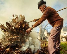 Дороге листя: чому краще не розпалювати багаття і скільки доведеться платити за цю розвагу