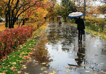 Погода в Днепре на 5 ноября: стихия подмочит репутацию, захватите зонтики