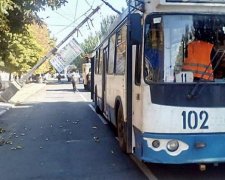 В центре Мариуполя столб упал на троллейбус (фото)