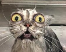 Погода скоро изменится, но украинцев это не обрадует