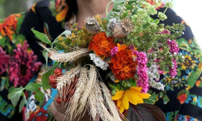 14 серпня: головні свята дня