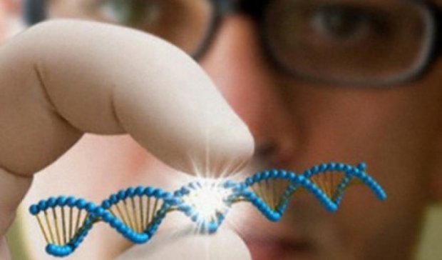 Ученые использовали ДНК в качестве флешки