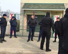 В Одесі активісти "прикрасили" будинок шкуродера, який задушив кота, почалась бійка