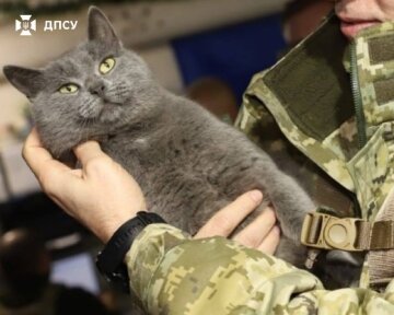 Пограничник с пушистым собратом на позициях
