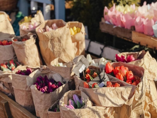 Тюльпани, квіти, фото із соцмереж