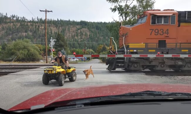 Горе-водій на квадроциклі, скріншот відео