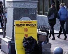Курс на 4 мая: гривна не удержалась на валютных качелях