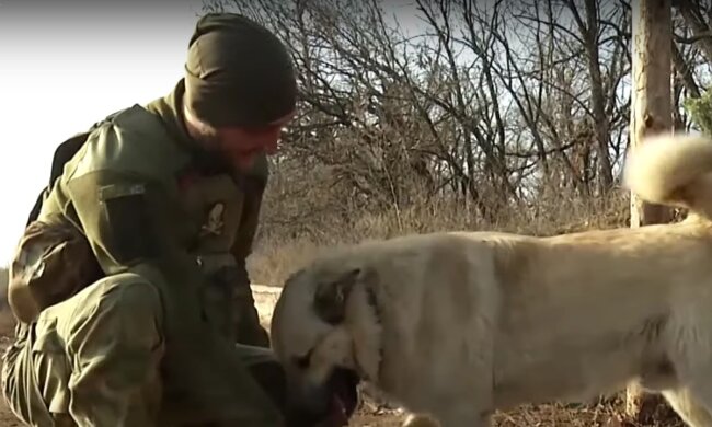 Український захисник і собака. Фото: скрін youtube