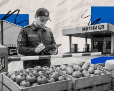 Ілюстрація: імпорт продуктів до України, митний контроль