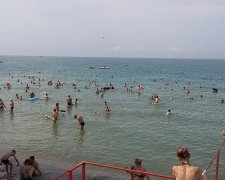 В Одессе внезапно почернело море, даже рыбы "пакуют чемоданы": кадры ужаса