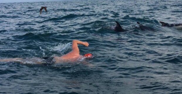 Адам Вокер сказав, що дельфіни оточили його для його безпеки: скрін з ФБ