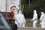 В Австрії у вантажівці виявили тіла 71 мігранта