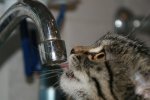 В Києві 9 вулиць залишилися без води: знайди свій будинок