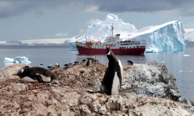 Таяние ледников в Антарктиде бьет все рекорды