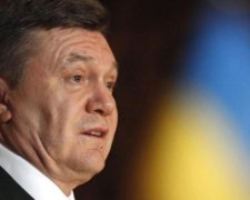 Долар по 8: експерт розбив в пух і прах головний міф Януковича