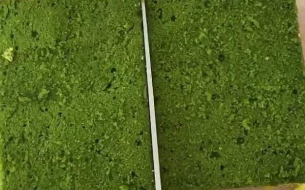 Десерт-губка, скріншот відео