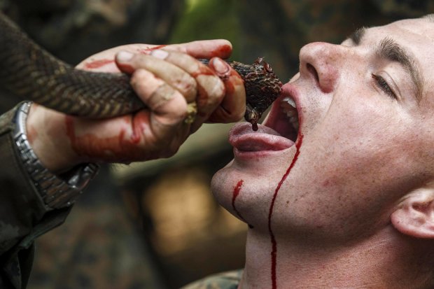 Американські морпіхи пройшли криваву посвяту в Таїланді: фотографії шокують зоозахисників
