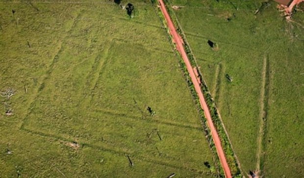 Археологи знайшли аналоги Стоунхенджа в джунглях Амазонки