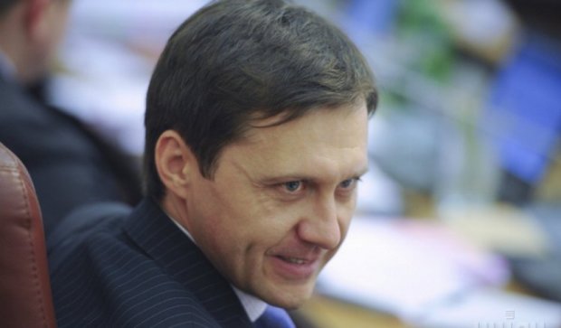 Экс-министр Шевченко «подарил» олигарху 50 тыс. га с залежами янтаря 