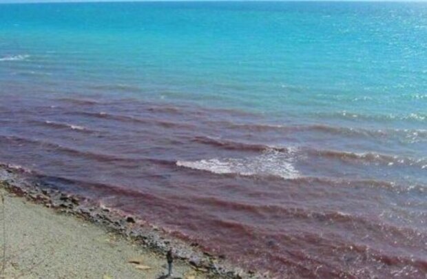 Чорне море в Анапі стало червоним