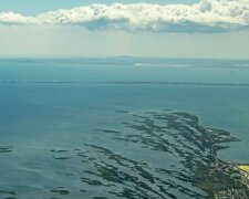 Чудовиська тероризують Азовське море: вода забарвилася в колір смерті, відпочиваючі в жаху біжать з пляжів