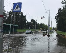 Фото з відкритих джерел